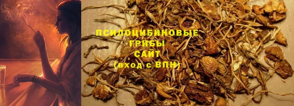 2c-b Богородицк